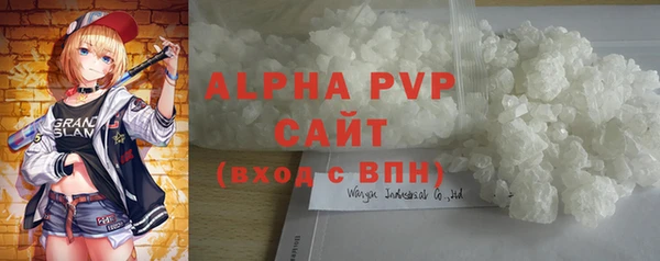 СК Алексин