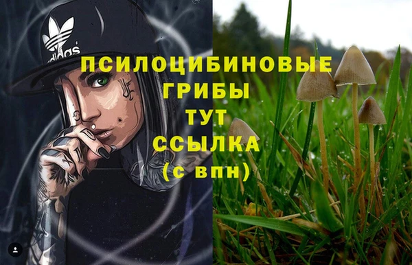 марихуана Абаза