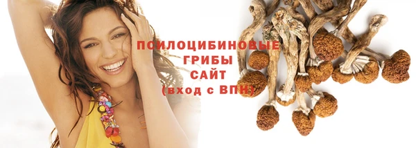 СК Алексин