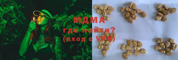 СК Алексин
