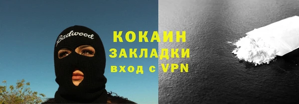 СК Алексин