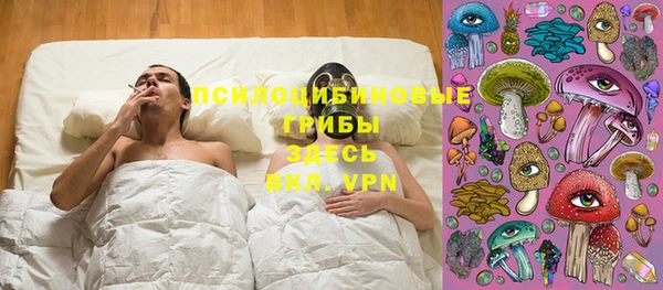 твердый Алзамай