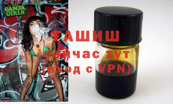 СК Алексин