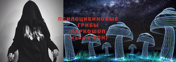 твердый Алзамай