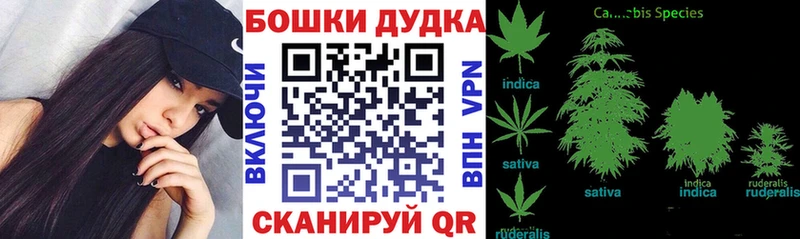 где купить   Кочубеевское  МАРИХУАНА White Widow 